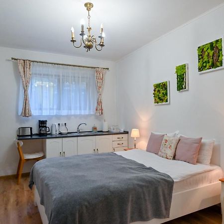 Transilvania Apartment Sibiu Exterior foto